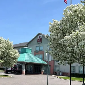 https://best-western-plus-travel-hotel-toronto-airport.niagara-fallshotels.com